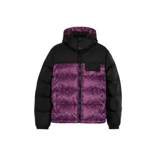 COACH FW22 Down Jacket Men's Purple