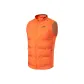 Cinnabar Orange