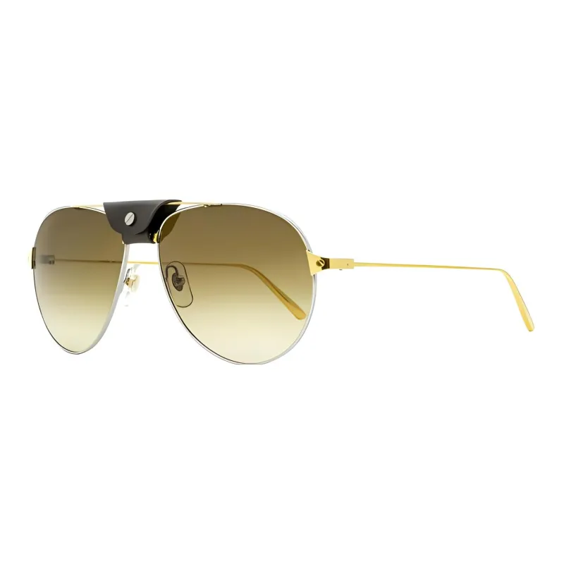 Cartier Santos De Cartier Sunglasses-1