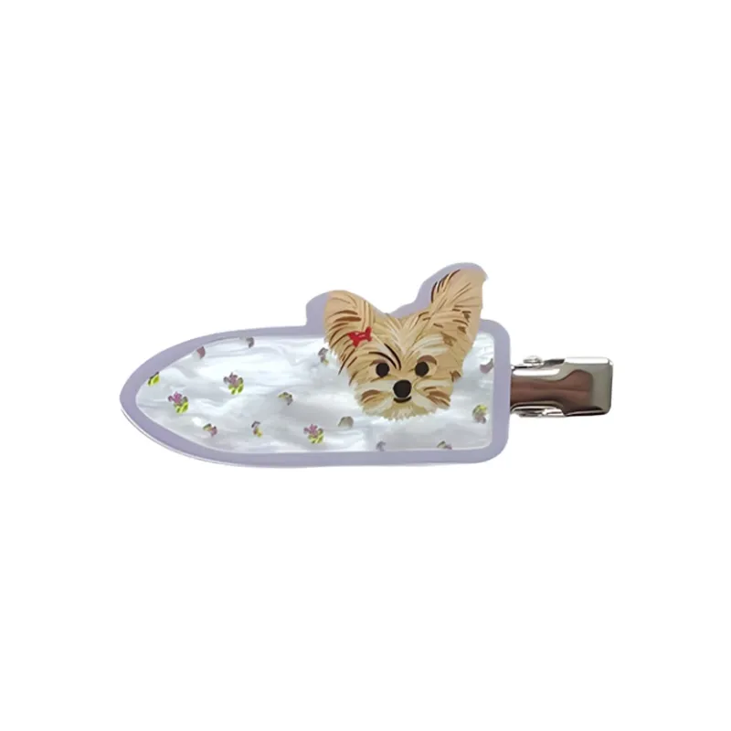 QIANFANGDAHUANGYE Resin Hair Clips Women's-3