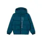 Blue-8101