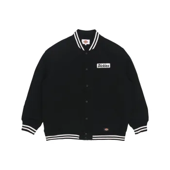 Dickies Stripes Baseball Collar Puffer Jacket Men's Black