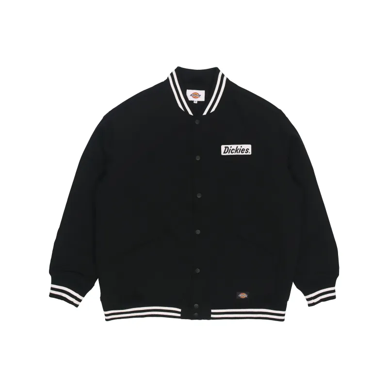Dickies Stripes Baseball Collar Puffer Jacket Men's Black-0