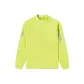 Aurora Green/Limelight