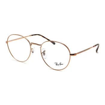 RayBan Round Frame Glasses