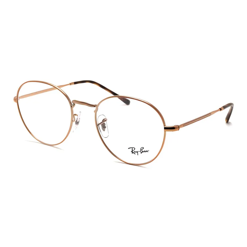 RayBan Round Frame Glasses-0