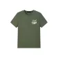 Gray Green