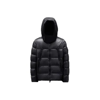 Moncler Down Jackets Men Black