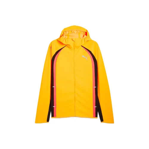PUMA Chamarra Impermeable Hombre PUMA Run