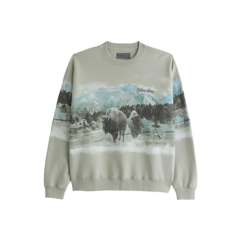 Abercrombie＆Fitch Sweatshirts Men Gray Green-0