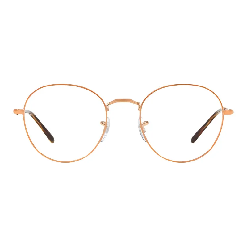 RayBan Round Frame Glasses-1