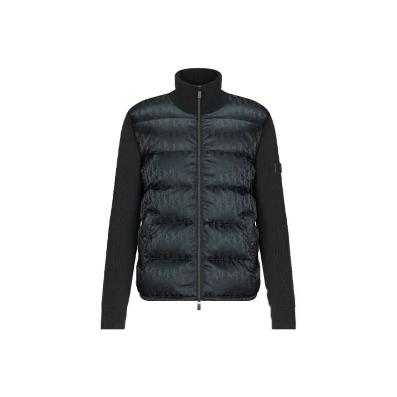 DIOR Quarterly New Products Down Jackets Men Black-0
