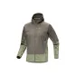 Dusty Green/Green/FORAGE/CHLORIS