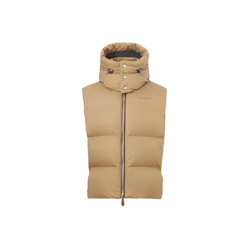 Burberry Down Jackets Men Roasted Peach