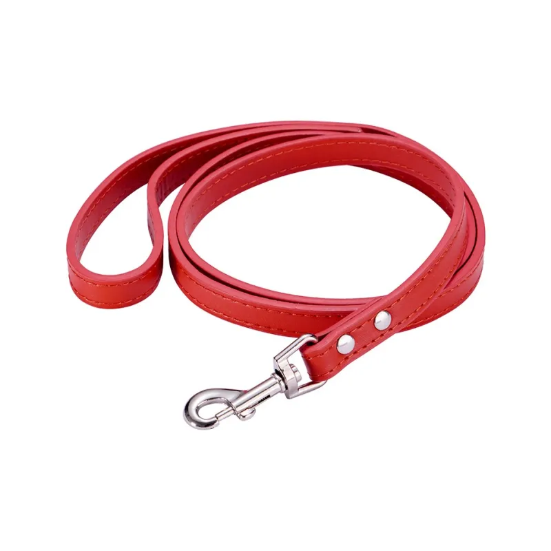 A good thing Leashes-0