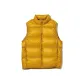 Lemon Yellow