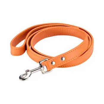 A good thing Leashes