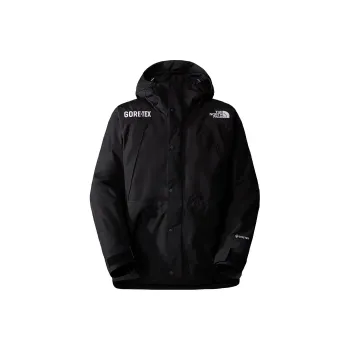 THE NORTH FACE Gtx Mountain Guide Insulated Parka