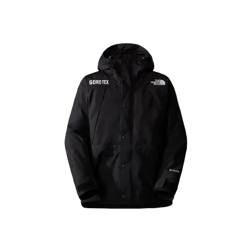 THE NORTH FACE Gtx Mountain Guide Insulated Parka