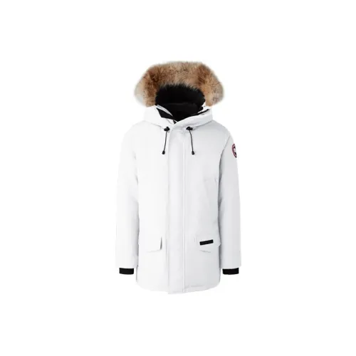 Canda Goose With Fur