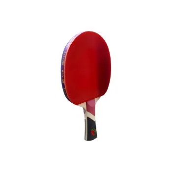730 Ping Pong Paddles