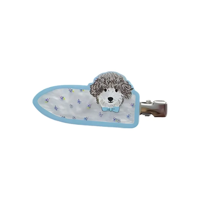 QIANFANGDAHUANGYE Resin Hair Clips Women's-9