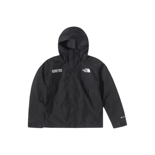 THE NORTH FACE Gore Tex Mountain Jacket