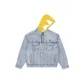 BLL/Blue