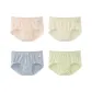 Shell Pink-Flowing White-Blue Rose-Jasmine Tea