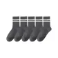 Medium Heather Gray 5 Pack