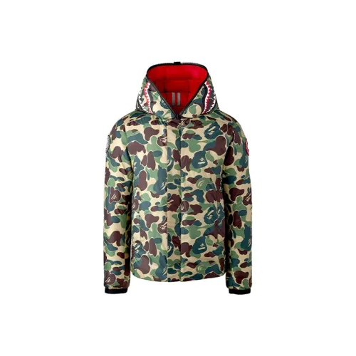 A BATHING APE X Canada Goose X CONCEPTS Crofton Shark Hoodie