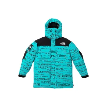 Supreme The North Face Coldworks 700 Fill Down Parka