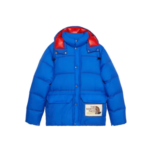 GUCCI X The North Face Down Jacket