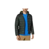 Conifer Green/Conifer
