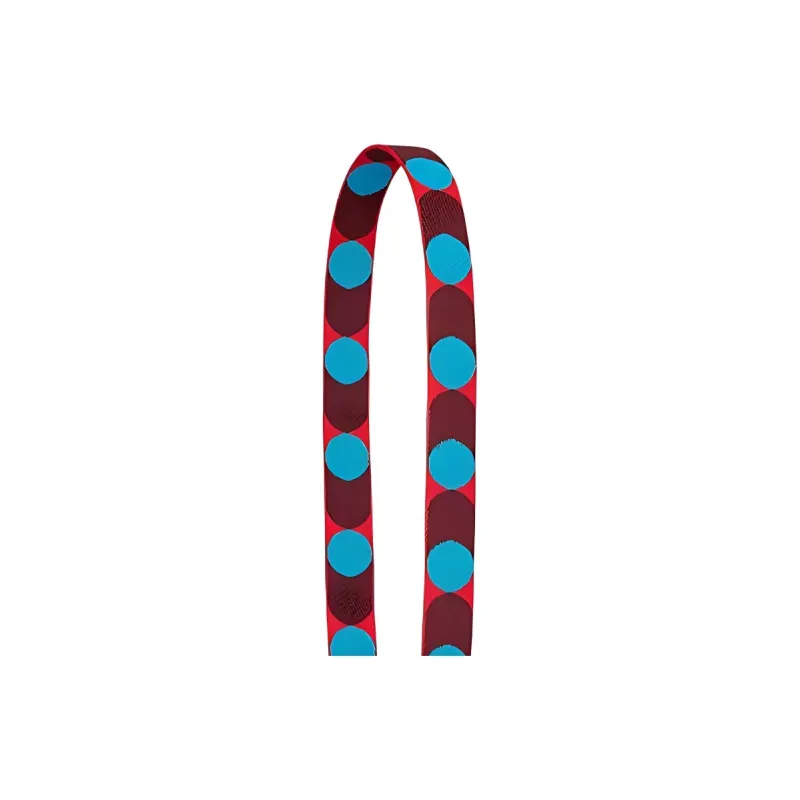 HERMES Sangle Flipperball Canvas With Swift Calfskin Bag Strap Women's Heart Red & Frida Blue & Gold-3