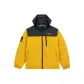 Mango Yellow