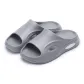 Smoke Gray