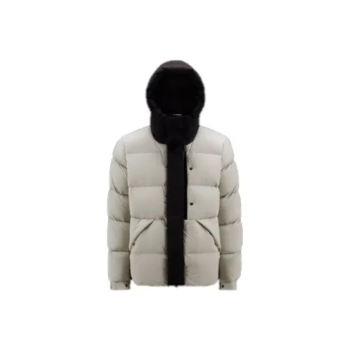 Moncler Madeira Series FW22 Down Jacket Men's Light Gray