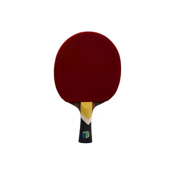 730 Ping Pong Paddles