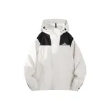 Ivory White 23657