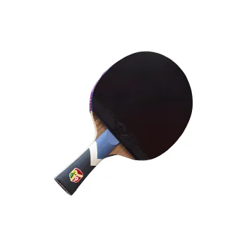 730 Ping Pong Paddles