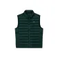 Xinpu Green