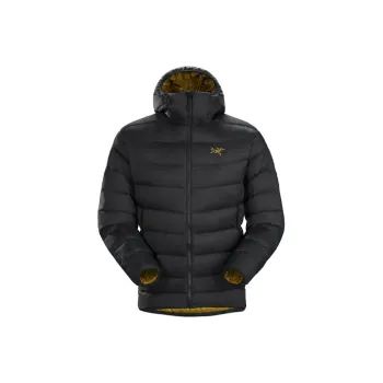 Arcteryx Thorium Ar Hoodie