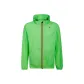 Neon Green
