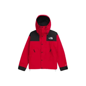 THE NORTH FACE Gtx Mountain Jacket