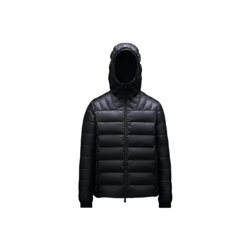 Moncler Down Jacket Men's Navy Blue-0