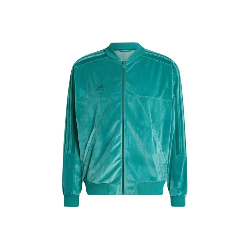 Adidas PerformanceSport Jackets Coats Men's Green