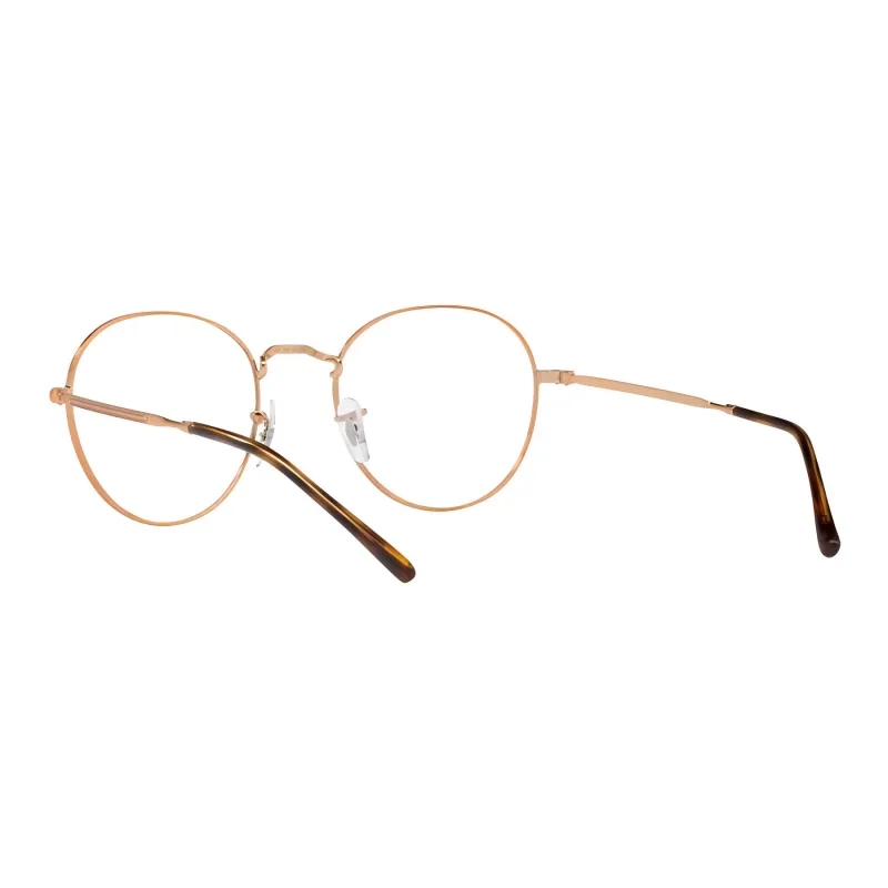 RayBan Round Frame Glasses-3