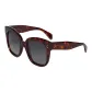 Tortoiseshell