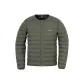 DGN Dark Green